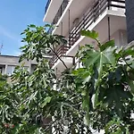 янка بيت ضيافة